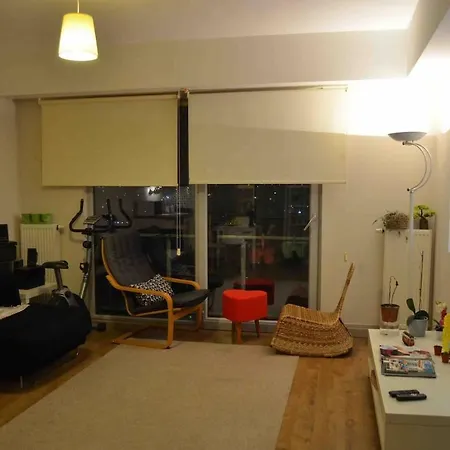 Appartement New And Comfortable In *